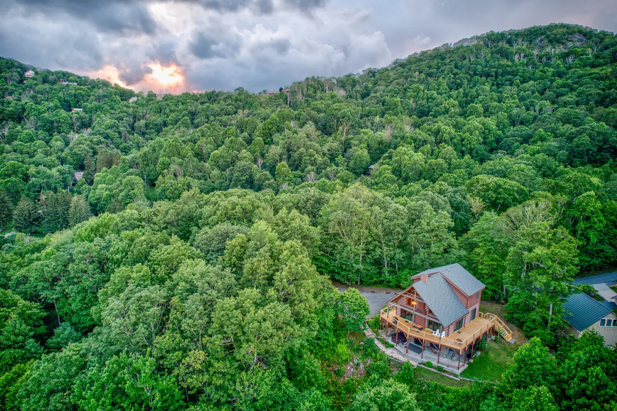 An exterior view of the house surrounded by dense forest, with a driveway leading up to it. The natural setting emphasizes seclusion and the thrill of returning to a peaceful retreat after a day of exploration.