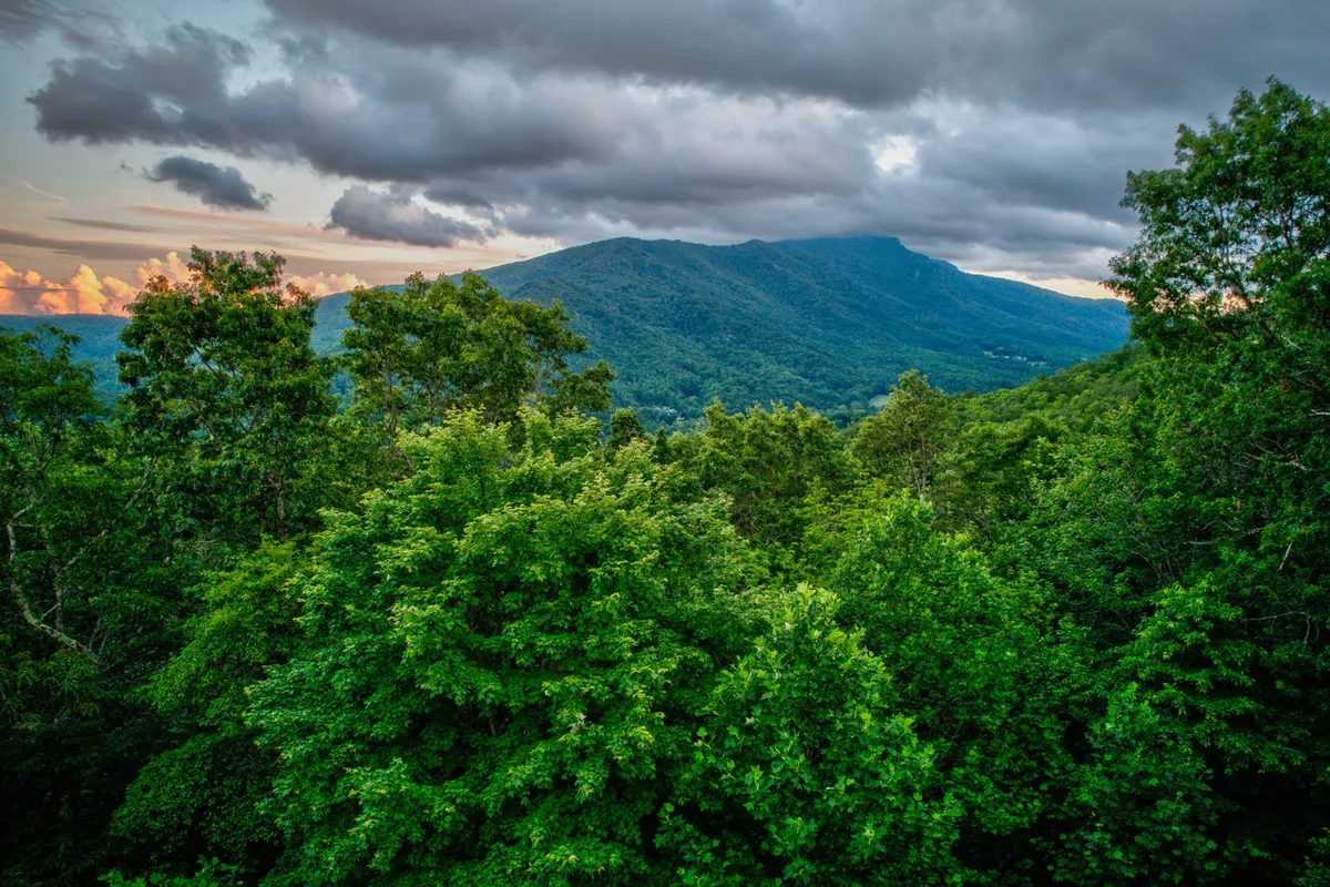 A sweeping view of lush green trees, a mountain range, and dramatic clouds fills the frame. The tranquil landscape invites exploration and moments of reflection, evoking the High Country's natural beauty and the adventures awaiting nearby.
